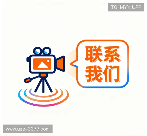专业咨询